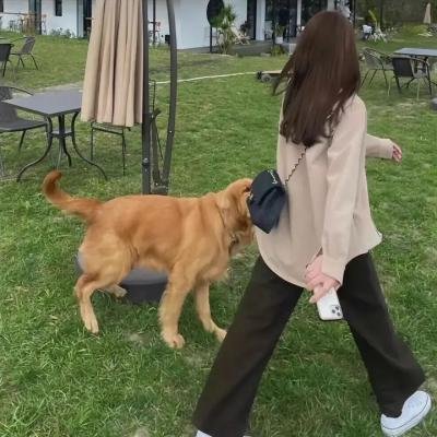 父职的乐趣
